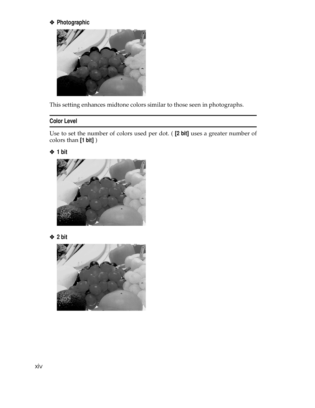 Ricoh AP305 operating instructions Photographic, Color Level, Bit 