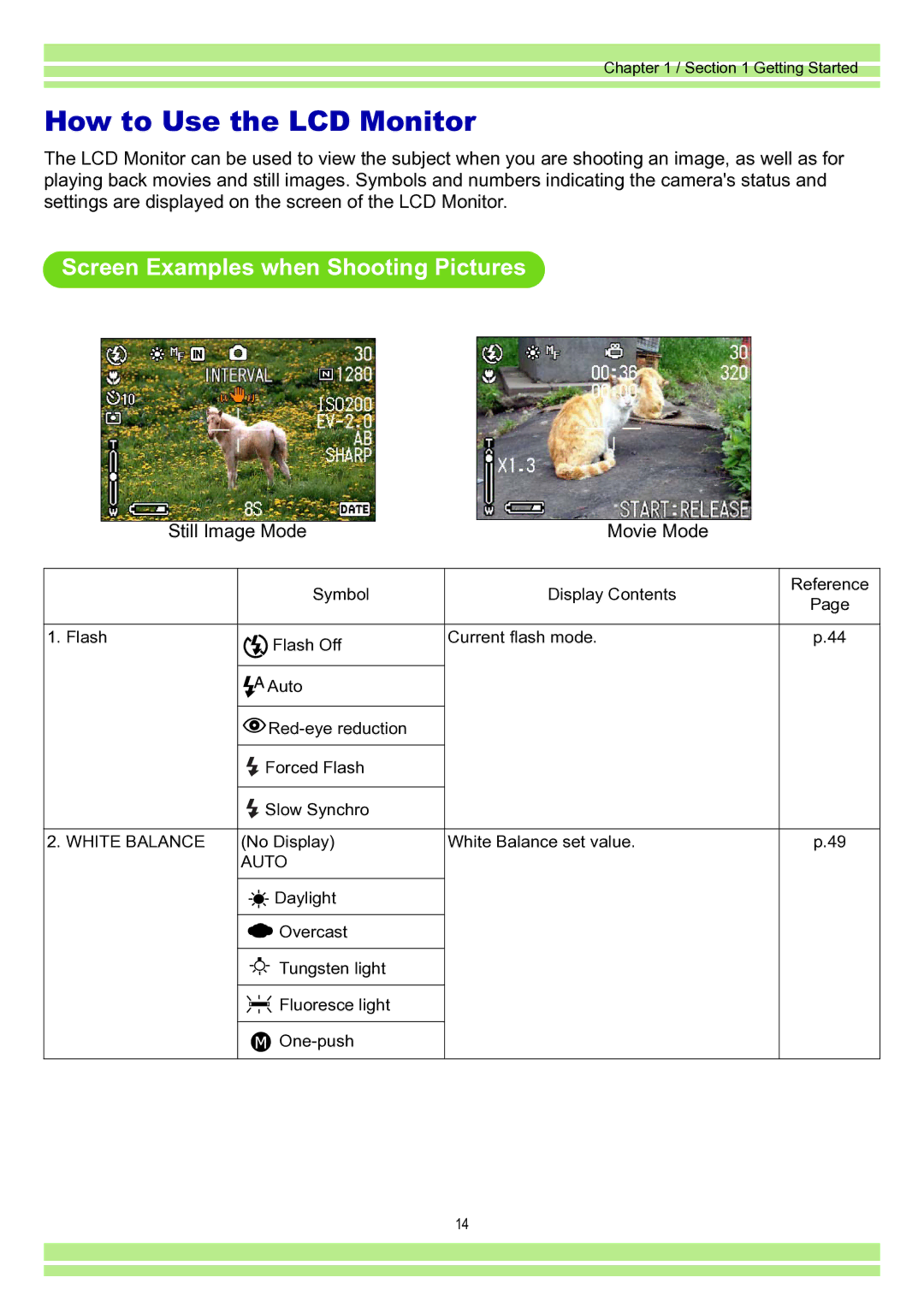 Ricoh Caplio RR30 How to Use the LCD Monitor, Screen Examples when Shooting Pictures, Still Image Mode Movie Mode 