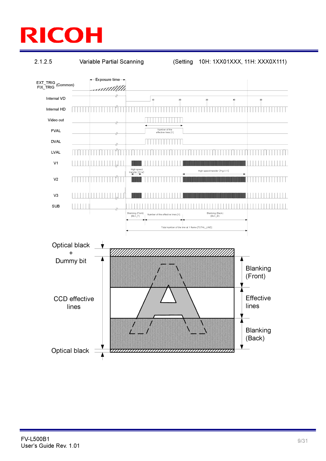Ricoh FV-L500B1 manual Variable Partial Scanning Setting 10H 1XX01XXX, 11H, 2.5 