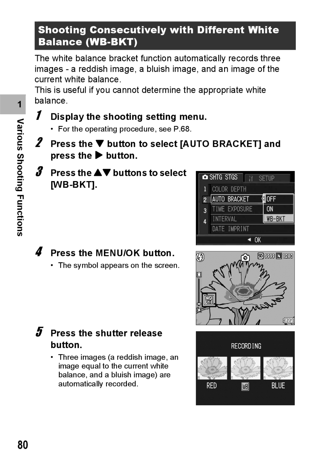 Ricoh G600 manual Shooting Consecutively with Different White Balance WB-BKT 