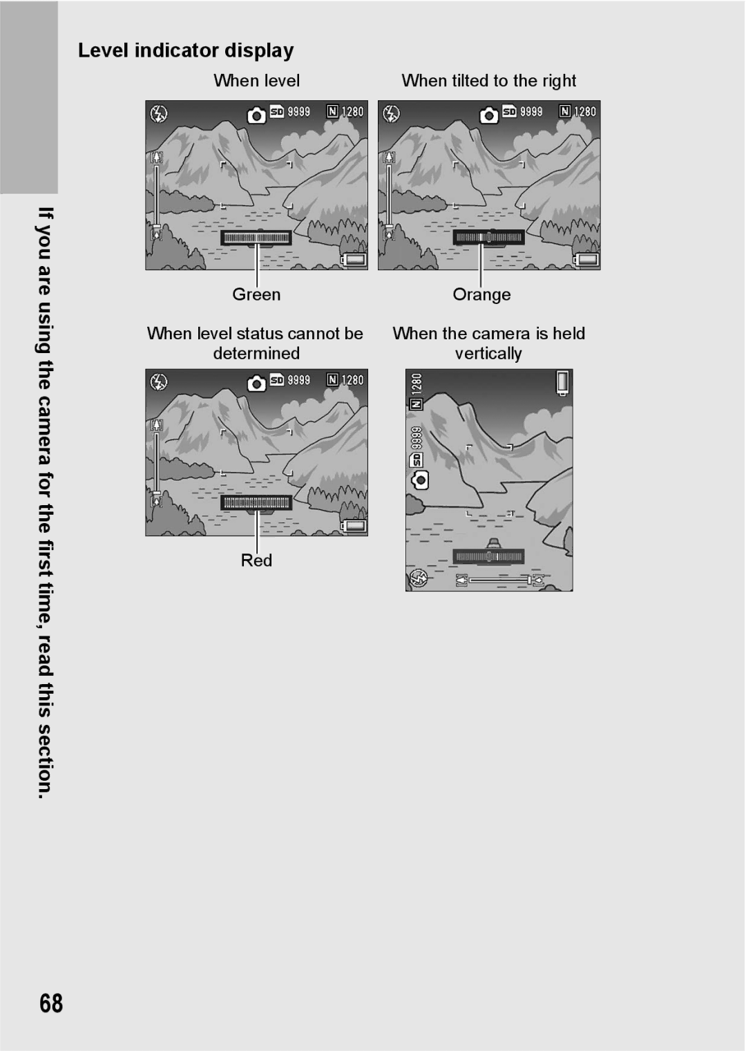 Ricoh GX200 VF KIT manual When level 