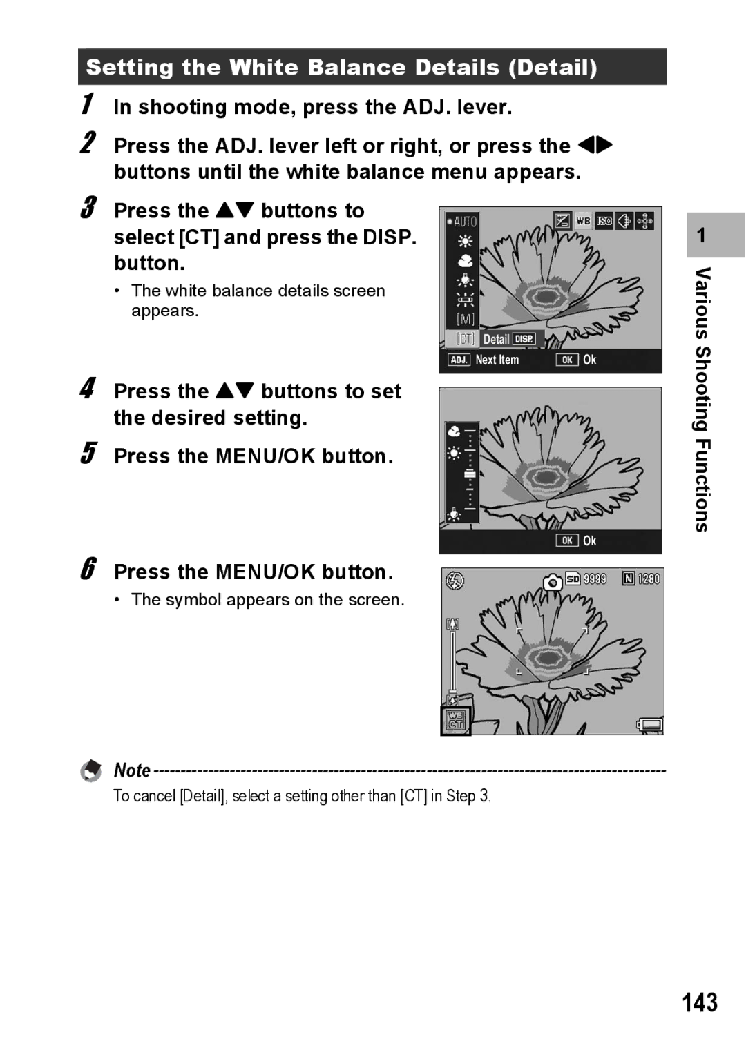 Ricoh GX200 manual 143, Setting the White Balance Details Detail 