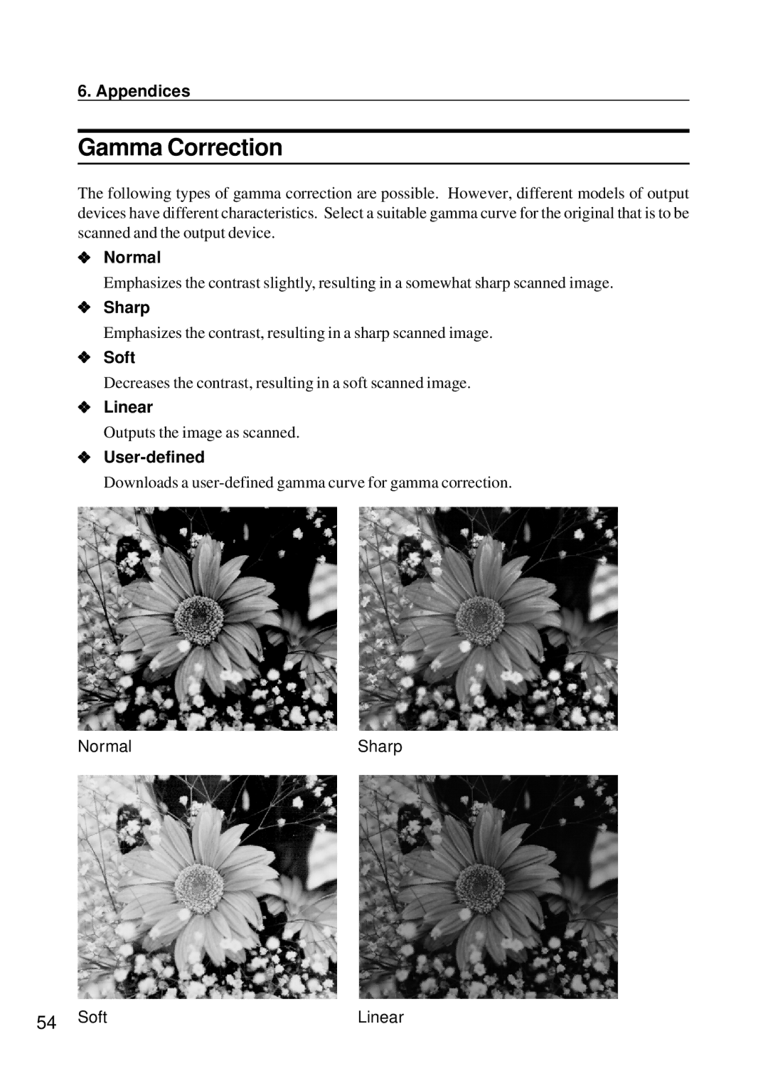 Ricoh IS450 operating instructions Gamma Correction 