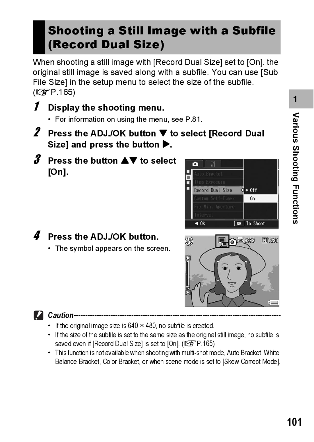 Ricoh R10 manual Shooting a Still Image with a Subfile Record Dual Size, 101 