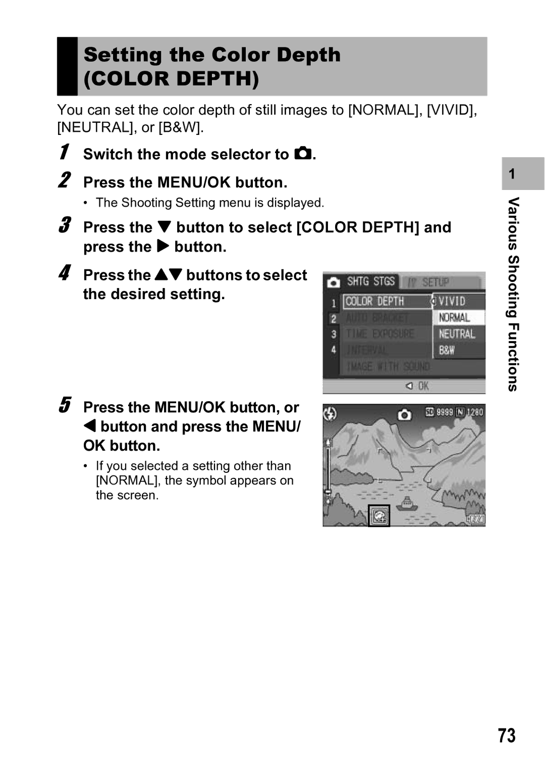 Ricoh R5 manual Setting the Color Depth 