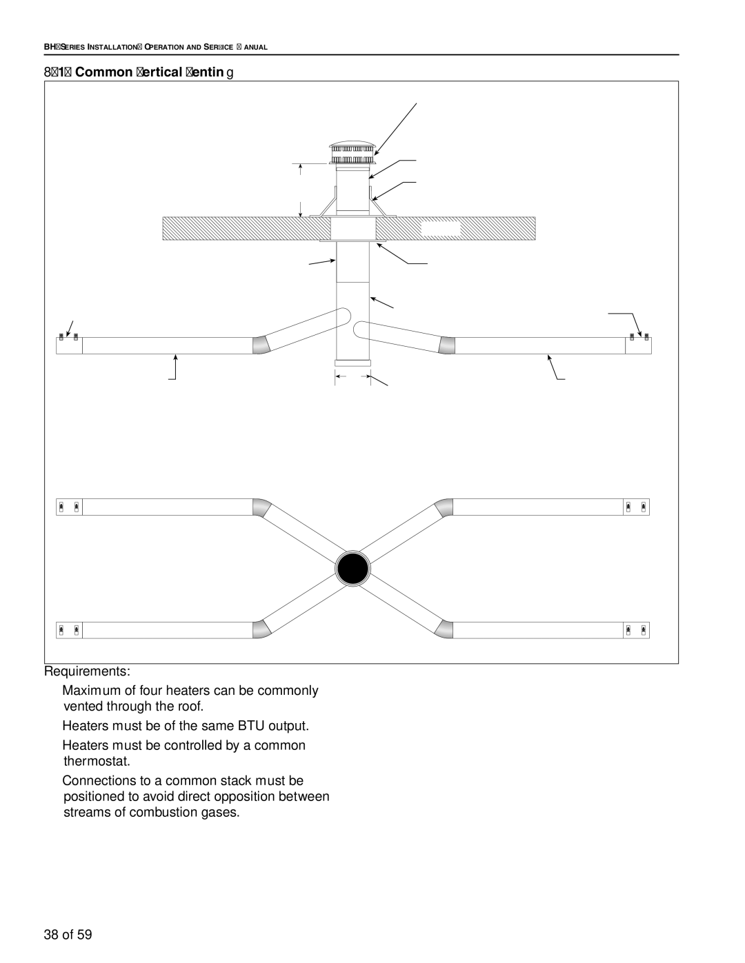 Roberts Gorden BH-115, BH-60, BH-40, BH-150, BH-175, BH-100, BH-140, BH-200, BH-80, BH-125 service manual Common Vertical Venting 