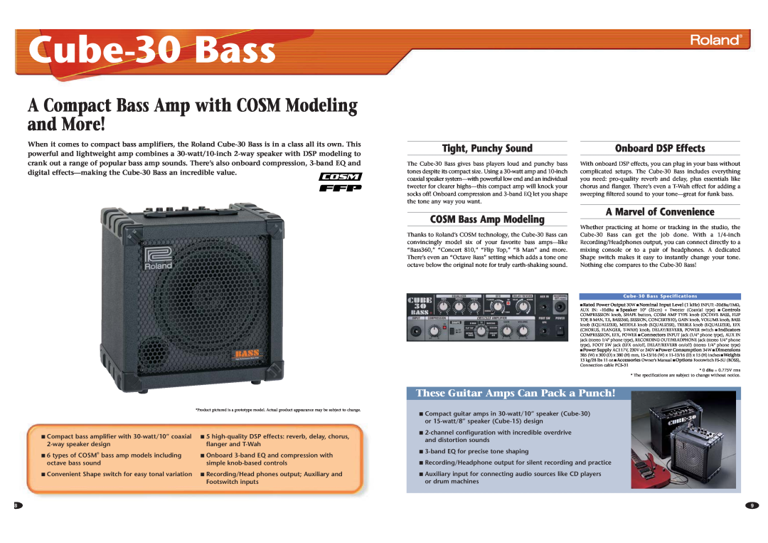 Roland RS-70, 50 A Compact Bass Amp with COSM Modeling and More, Tight, Punchy Sound, COSM Bass Amp Modeling, Cube-30 Bass 