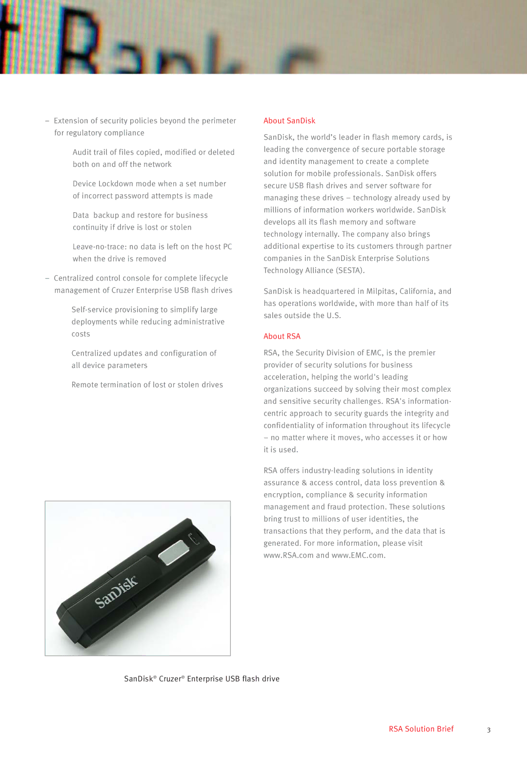 RSA Security Cruzer manual About SanDisk 