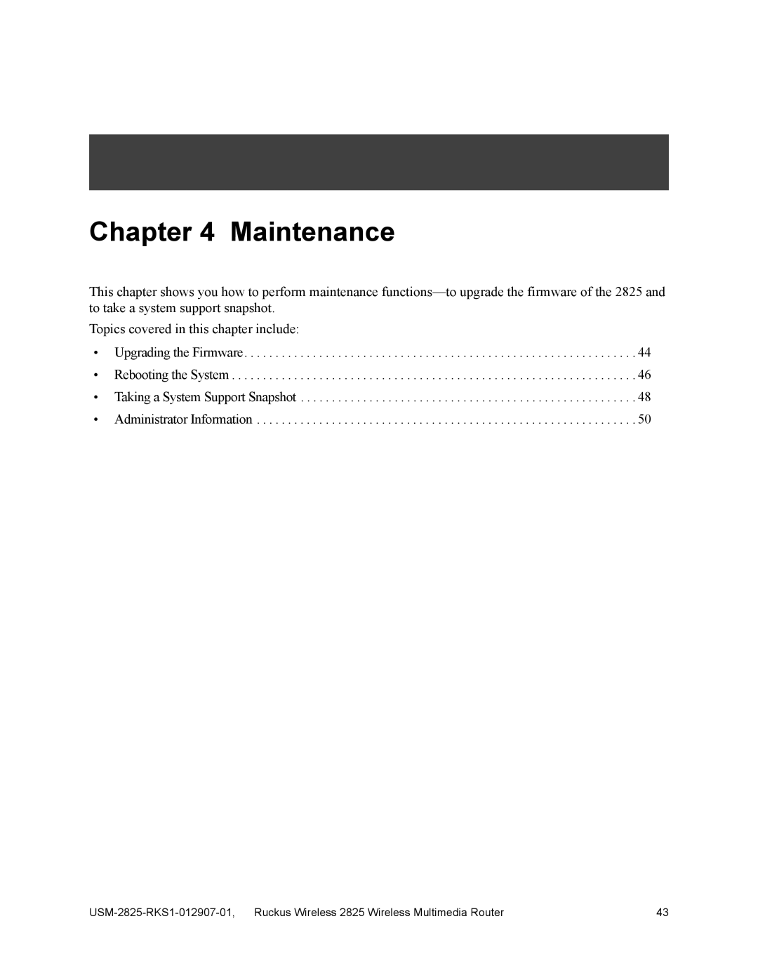 Ruckus Wireless 2111, 2825 manual Maintenance 