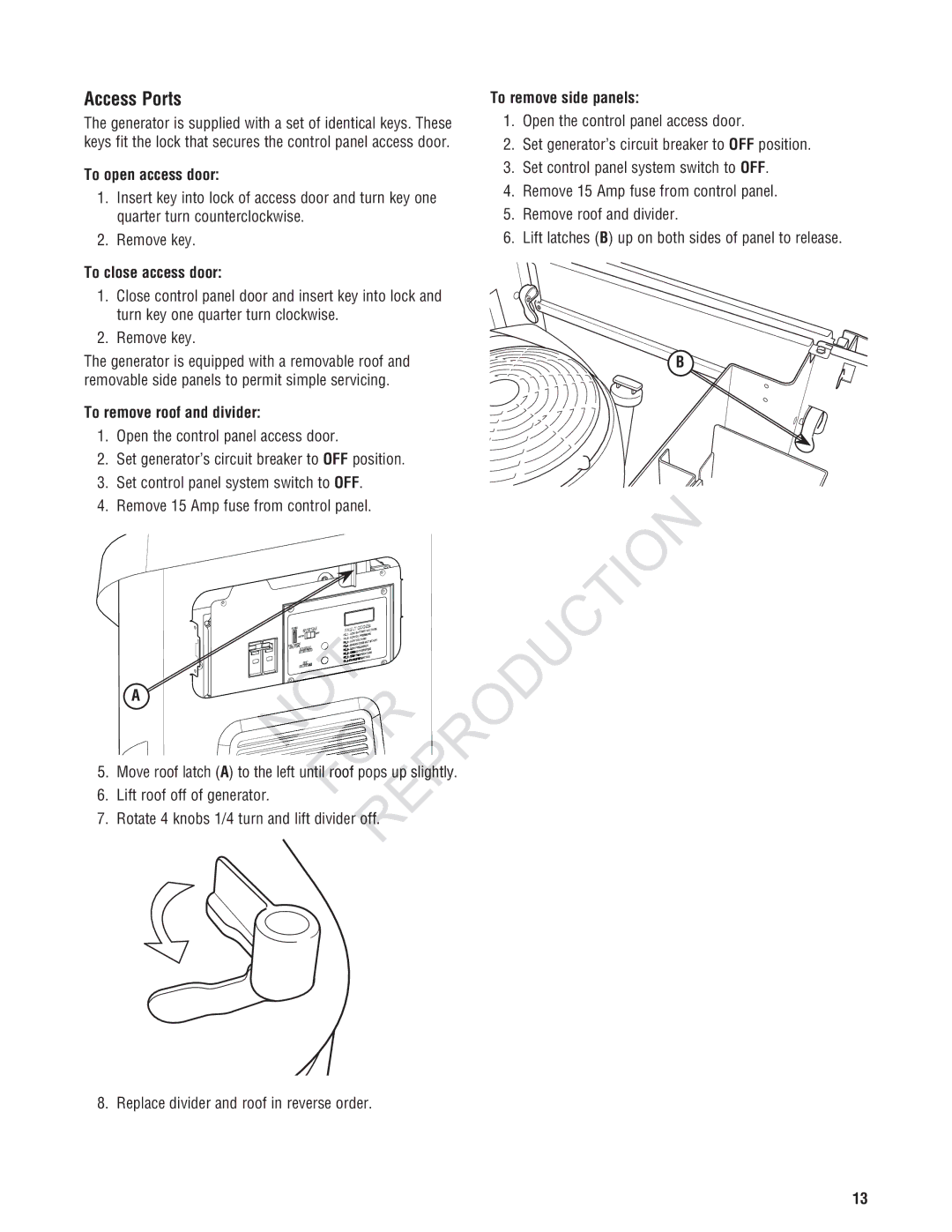 Ruud Generator Systems, GEN12AD-V manual Access Ports, To open access door, To close access door, To remove roof and divider 