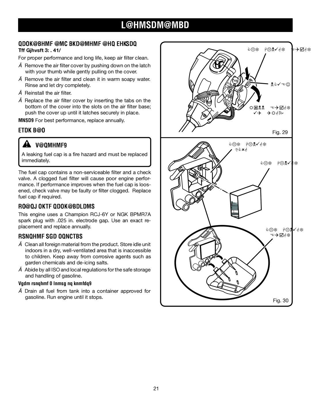 Ryobi RY30923 Replacing and Cleaning AIR Filter, Fuel CAP, Spark Plug Replacement, Storing the Product, See Figures 29 