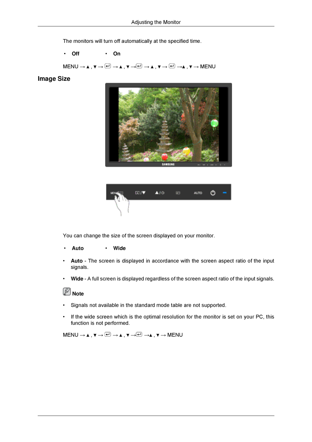 Samsung 943SNX, 2243LNX, 2043SNX, 2243SNX user manual Image Size 