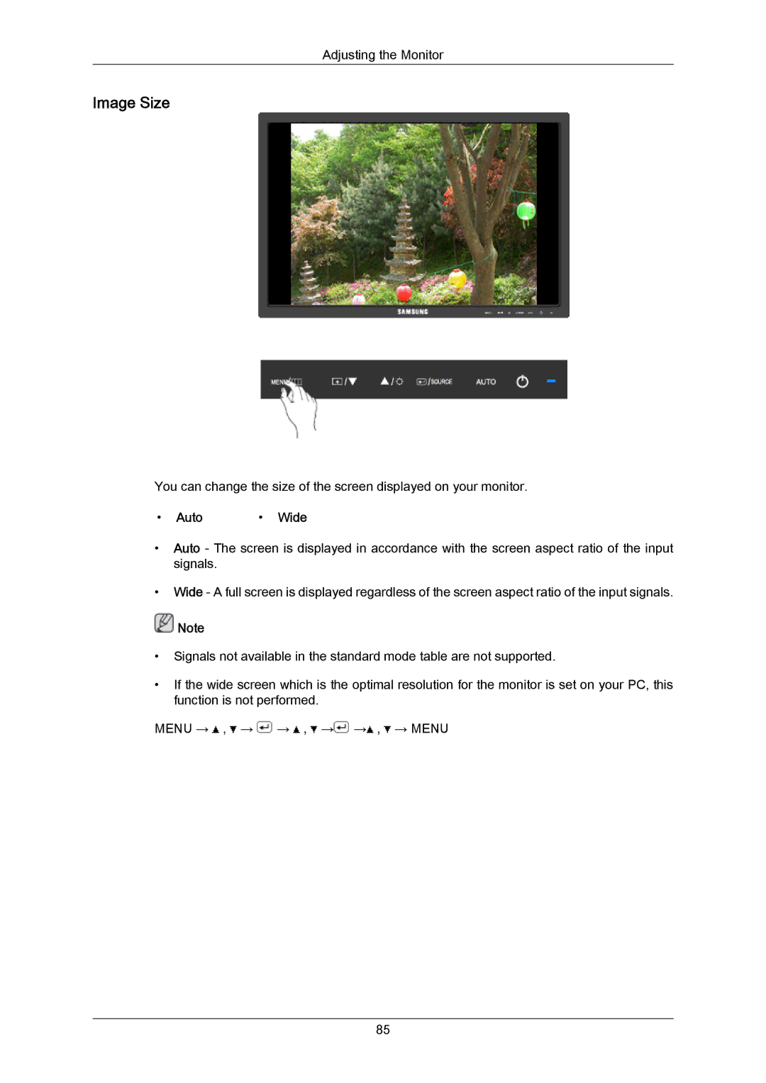 Samsung 943SWX user manual Image Size 