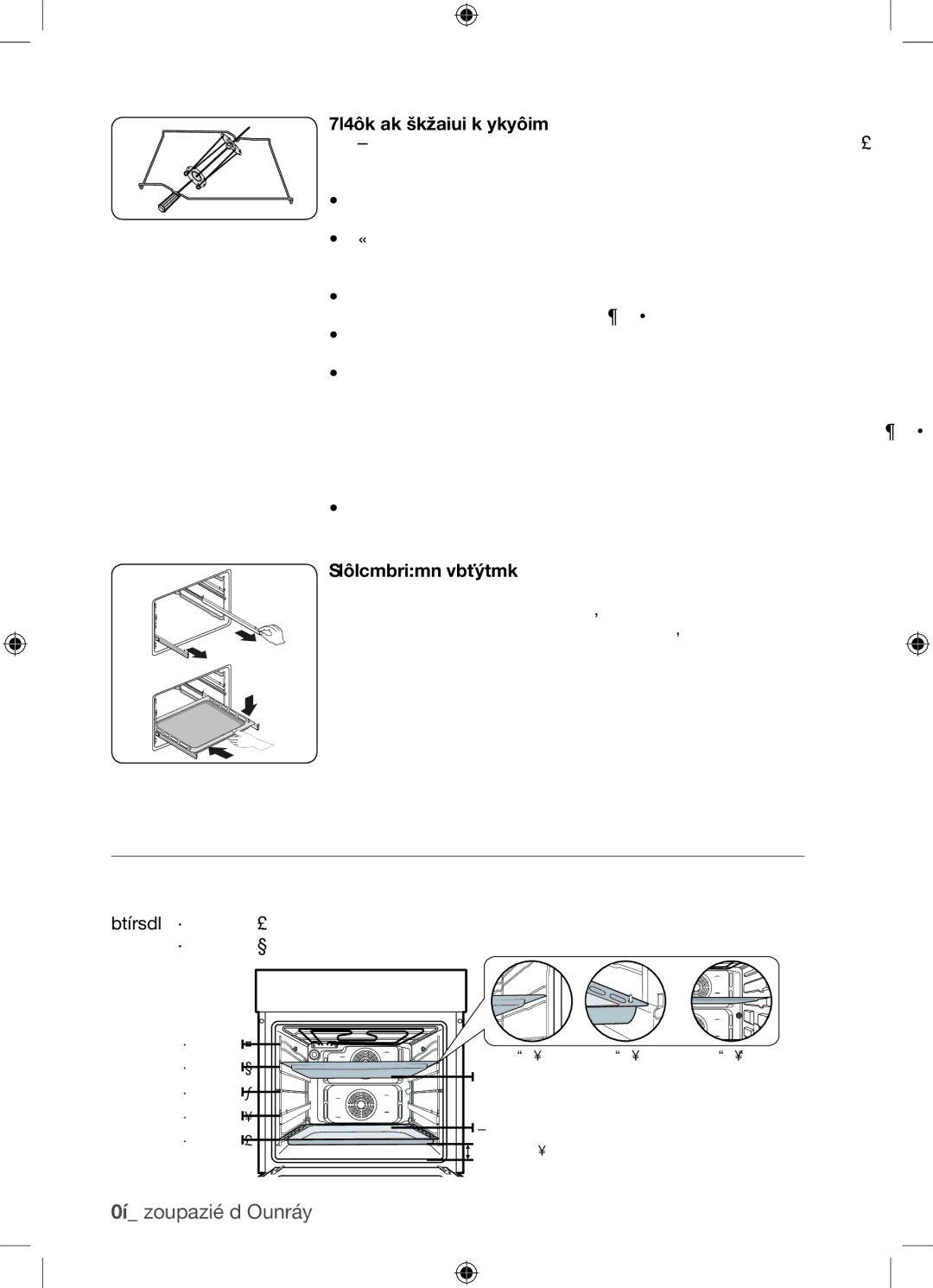 Samsung BF62TCST/XEG manual Používání příslušenství, Jehla na ražniči a šašlik volitelné, Teleskopická vodítka volitelná 