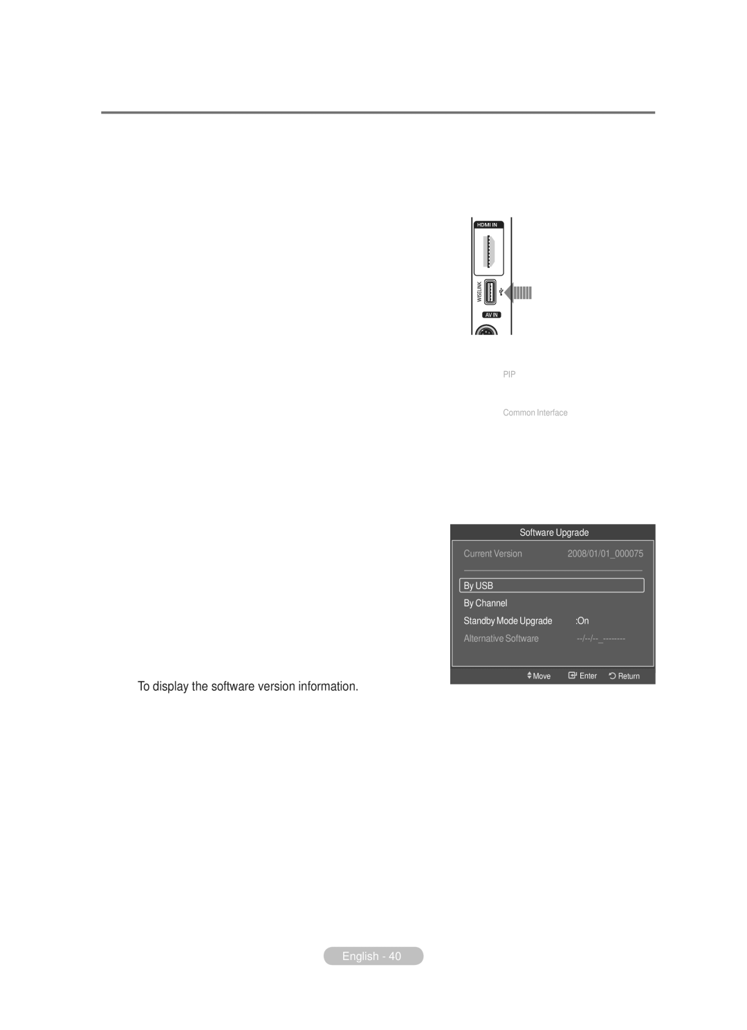 Samsung BN68-01783B-00 user manual Upgrading the Software, By USB, By Channel, Standby Mode Upgrade, Alternative Software 