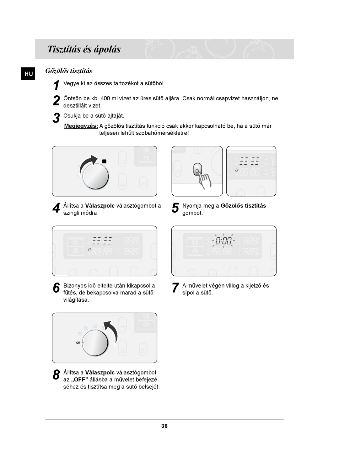 Samsung BT65TDFST/XEH, BT65TDFSTP/XEH manual Tisztítás és ápolás, Gőzölős tisztítás 