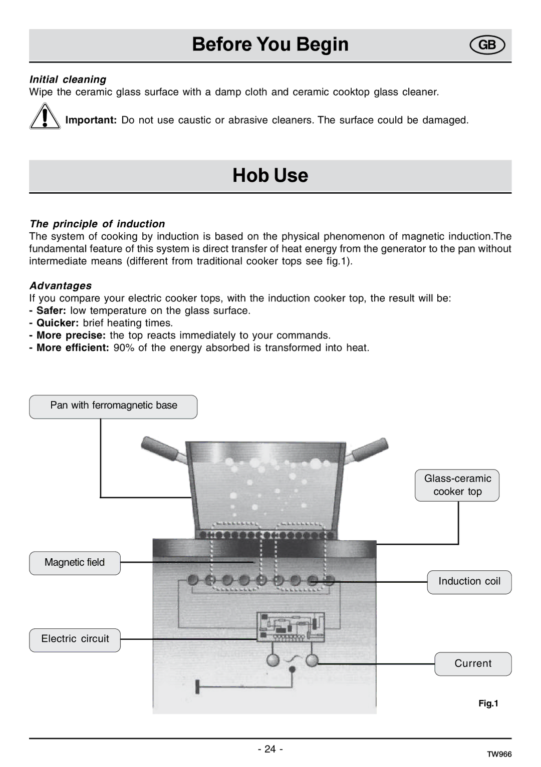 Samsung C61IDGNO/XEE manual Before You Begin, Hob Use, Initial cleaning, Principle of induction, Advantages 