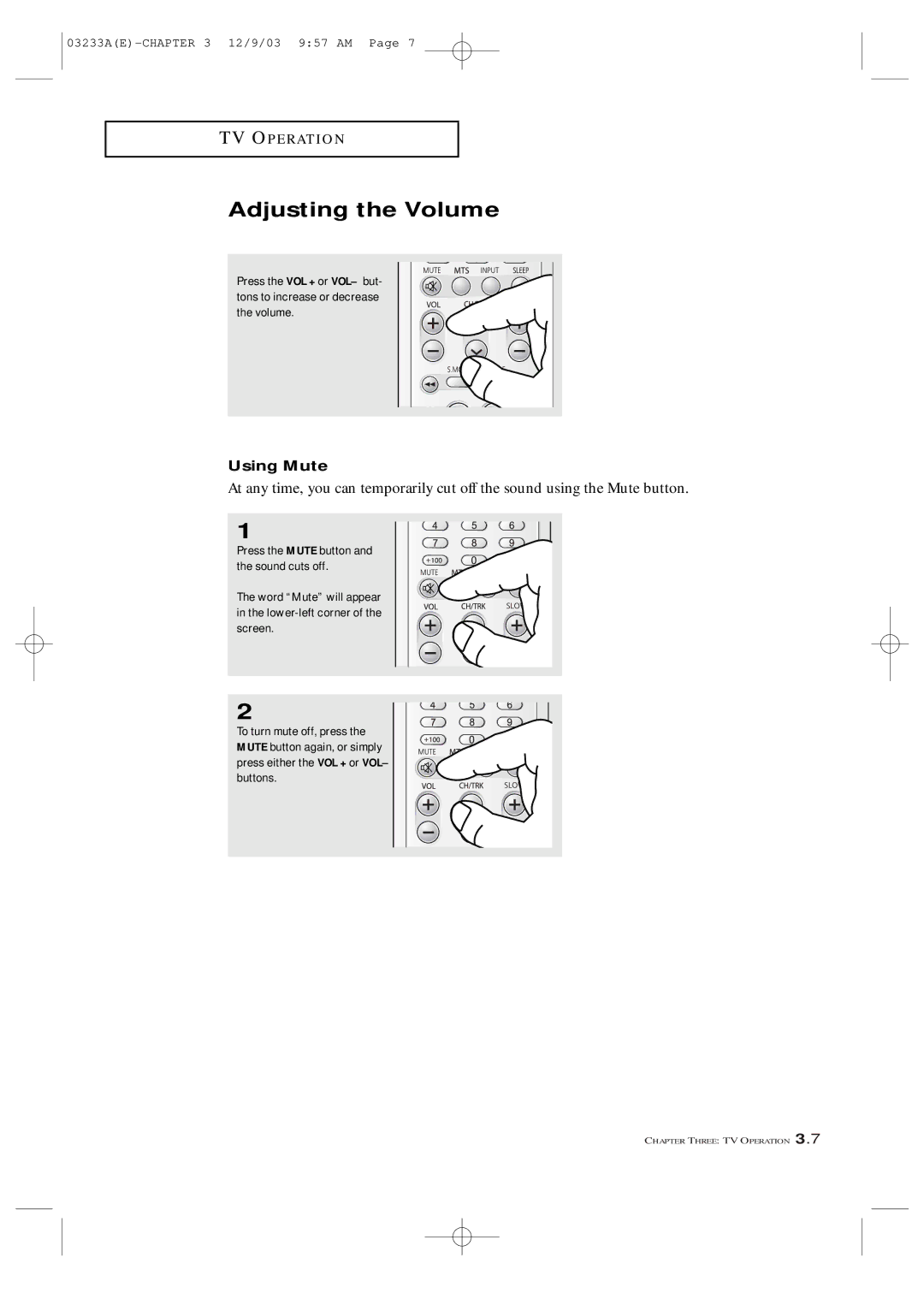 Samsung CFTD2085, CFTD2785, AA68-03265A-00 manual Adjusting the Volume, Using Mute 