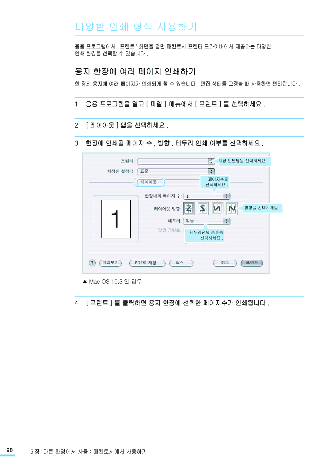 Samsung CLP-315NKG, CLP-315KG, CLP-310NKG manual 다양한 인쇄 형식 사용하기, 용지 한장에 여러 페이지 인쇄하기, 프린트 를 클릭하면 용지 한장에 선택한 페이지수가 인쇄됩니다 