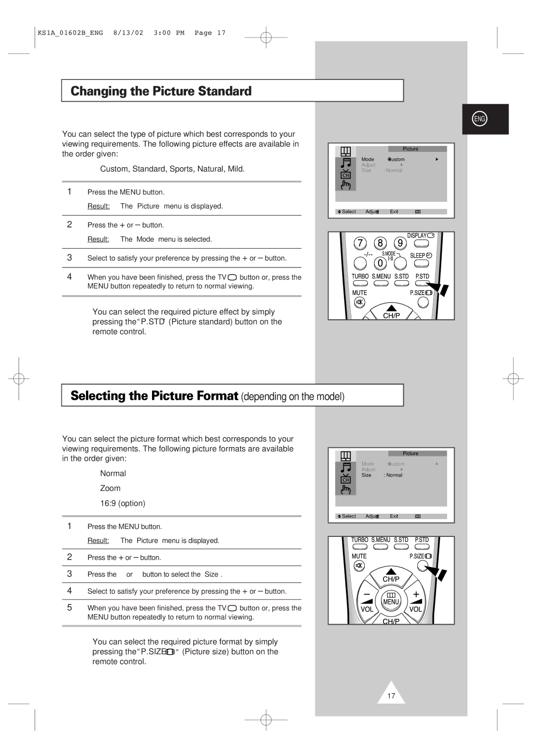 Samsung CRT Direct View TV manual Changing the Picture Standard, Selecting the Picture Format depending on the model 