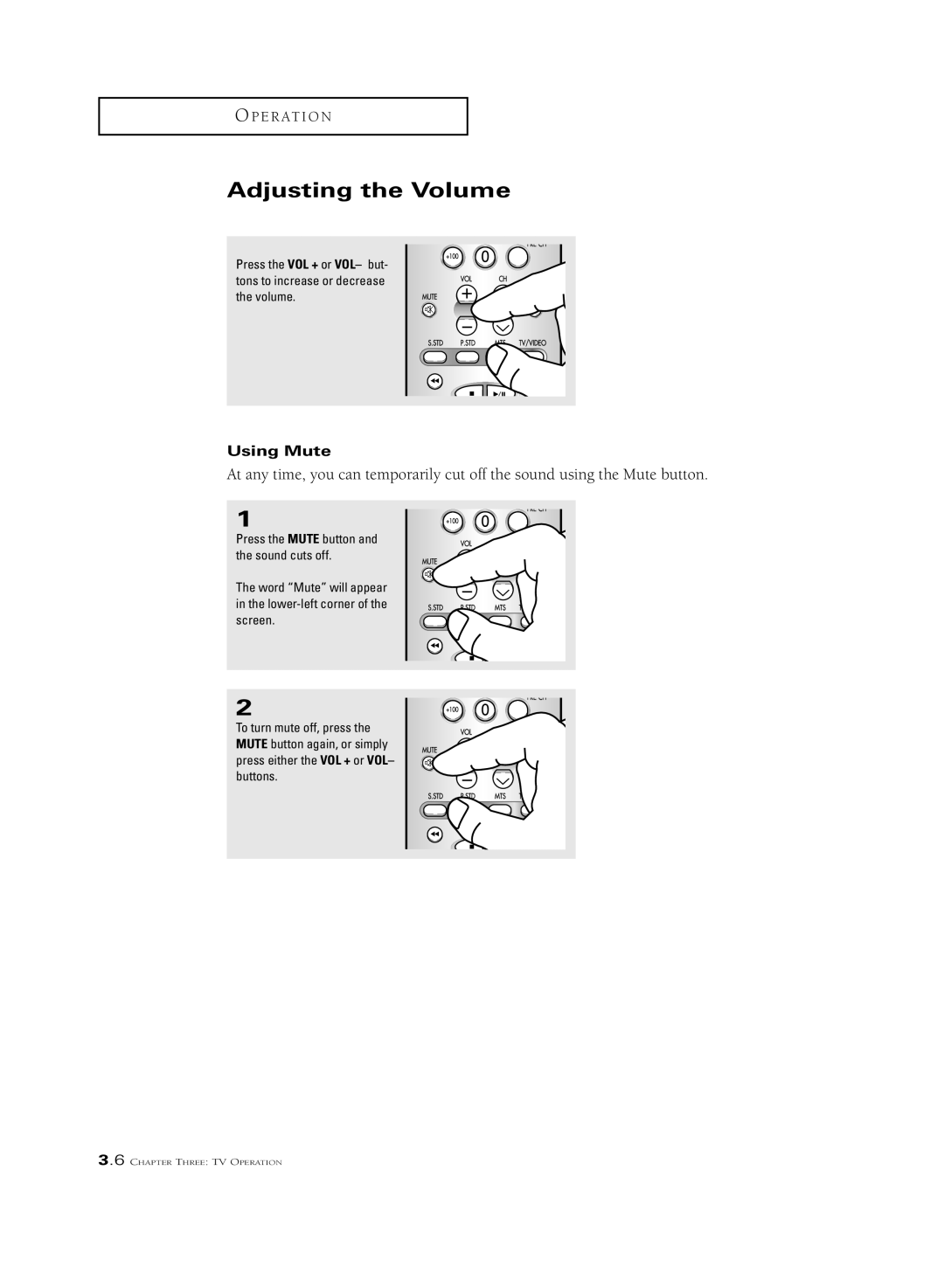 Samsung CSL 2097DV, CSL2099DV manual Adjusting the Volume, Using Mute 