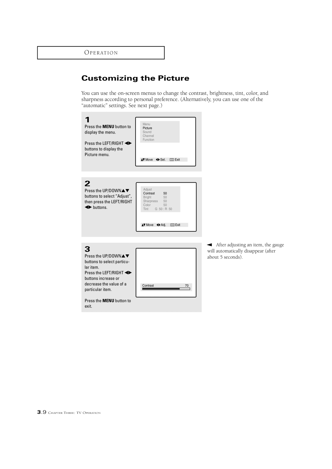 Samsung CSN2077DV manual Customizing the Picture, Particular item Press the Menu button to exit 