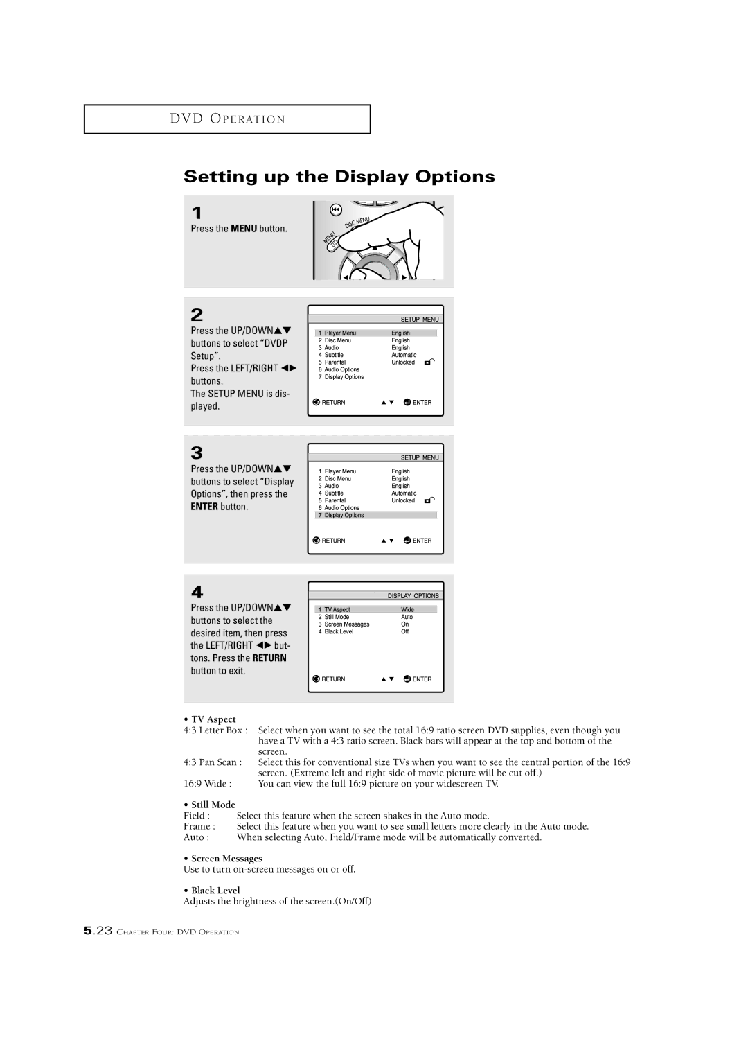 Samsung CSN2077DV manual Setting up the Display Options, TV Aspect 