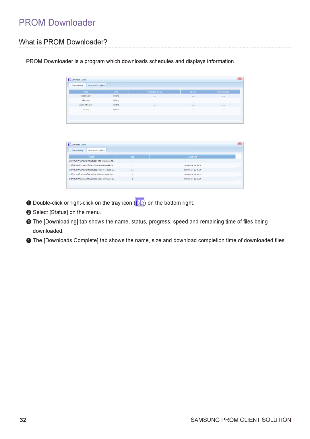 Samsung CY-CMR/EN, CY-CMR/ZA manual What is Prom Downloader? 