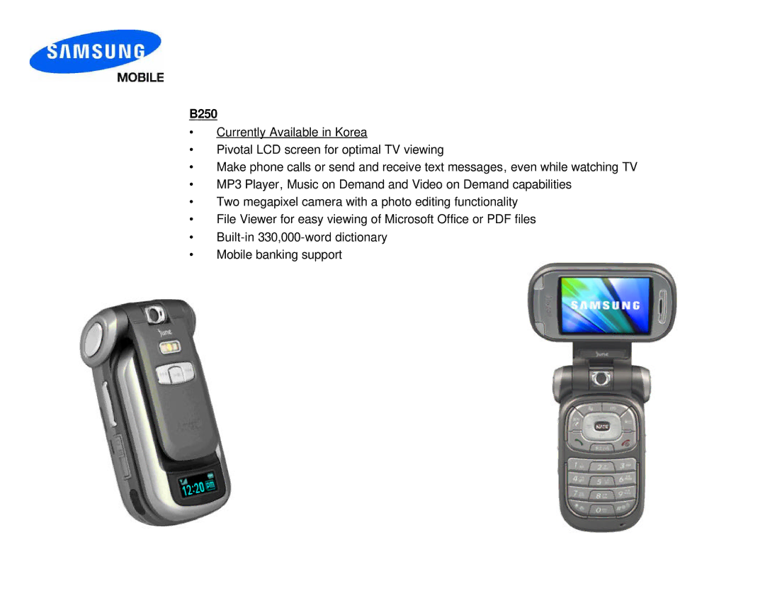 Samsung D307 manual B250 