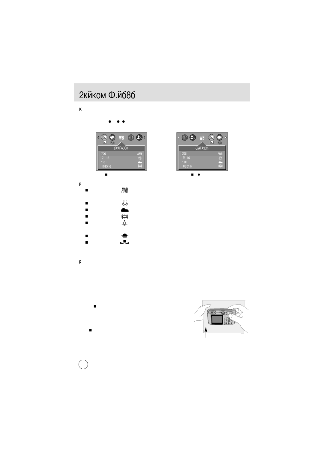 Samsung EC-D301ZSBA/E1 manual Daylight, Cloudy, Fluorescent, Tungsten, Sunset Custom 