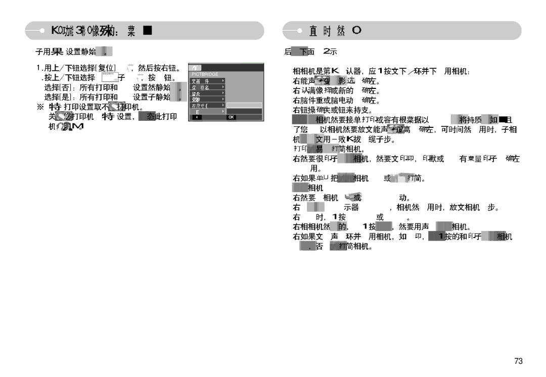 Samsung EC-L77ZZBBA/DE, EC-L77ZZBBE/E1, EC-L77ZZBBA/E1 manual Pictbridge 