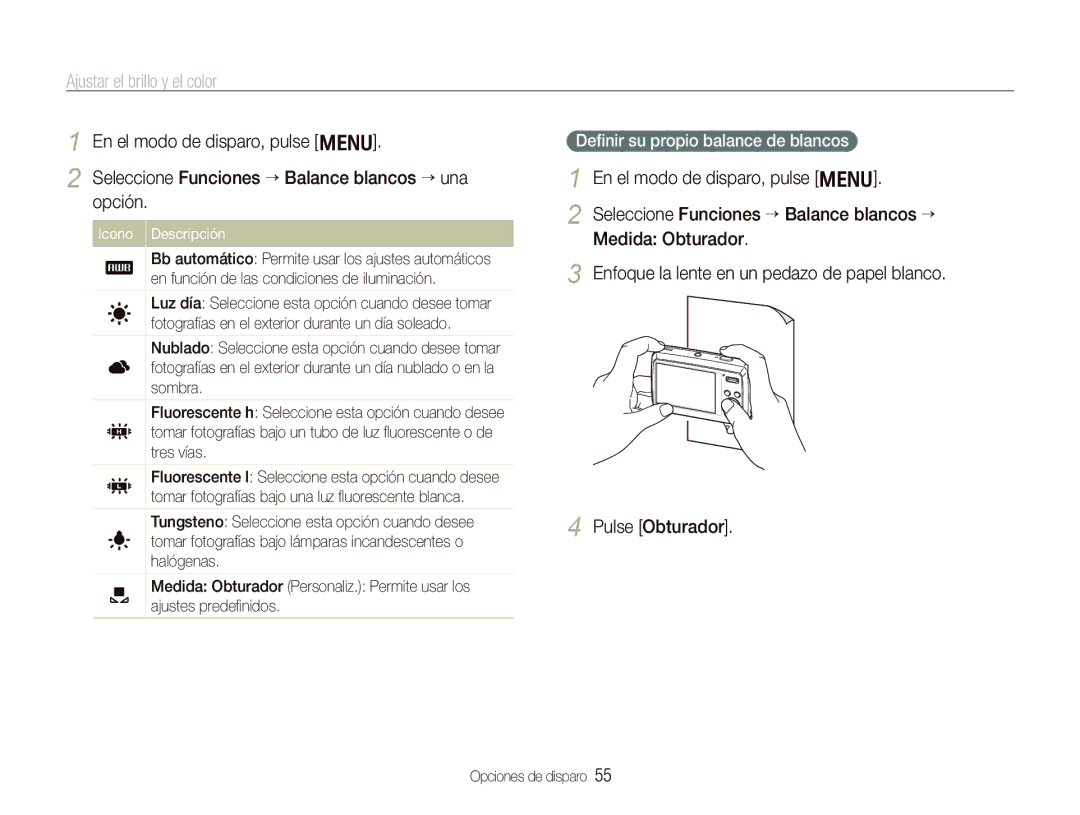 Samsung EC-PL10ZRBP/E1, EC-PL10ZPBP/E1 manual Deﬁnir su propio balance de blancos, Icono Descripción 