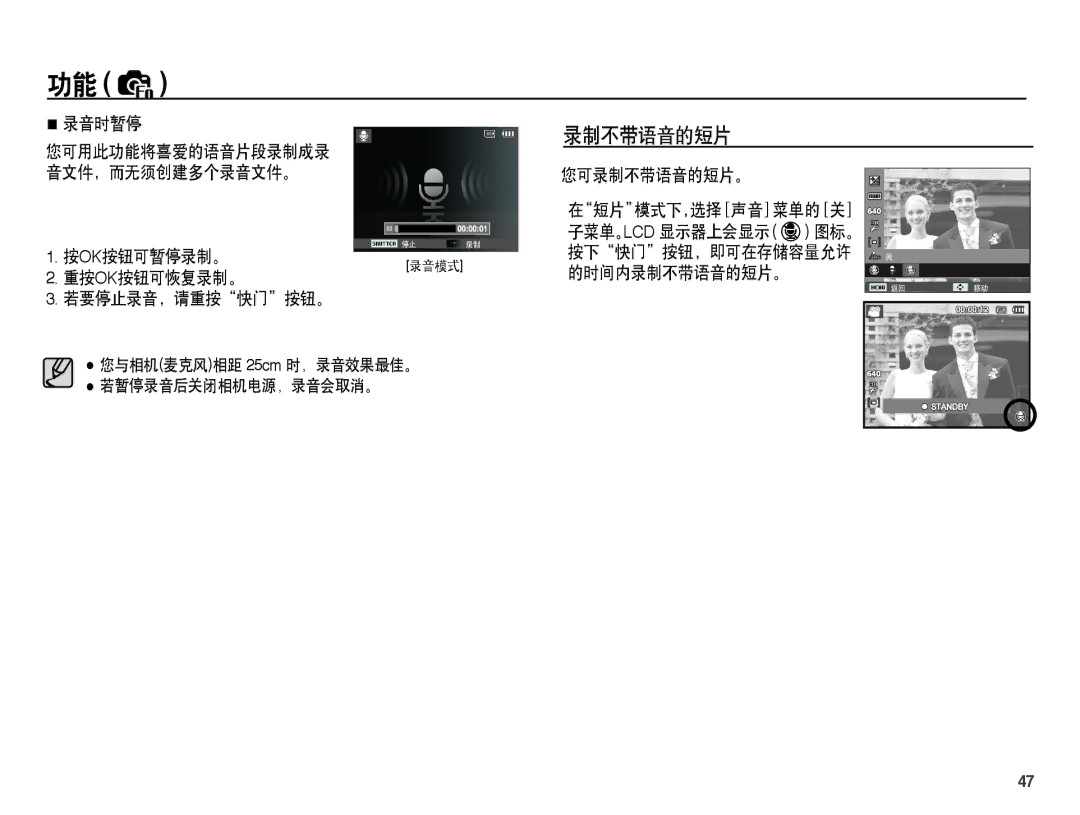 Samsung EC-PL55ZZBPBE1, EC-PL55ZZBPSIT, EC-PL55ZZBPUE3 录音时暂停, 按ok按钮可暂停录制。 重按ok按钮可恢复录制。 若要停止录音，请重按快门按钮。, 您可录制不带语音的短片。 