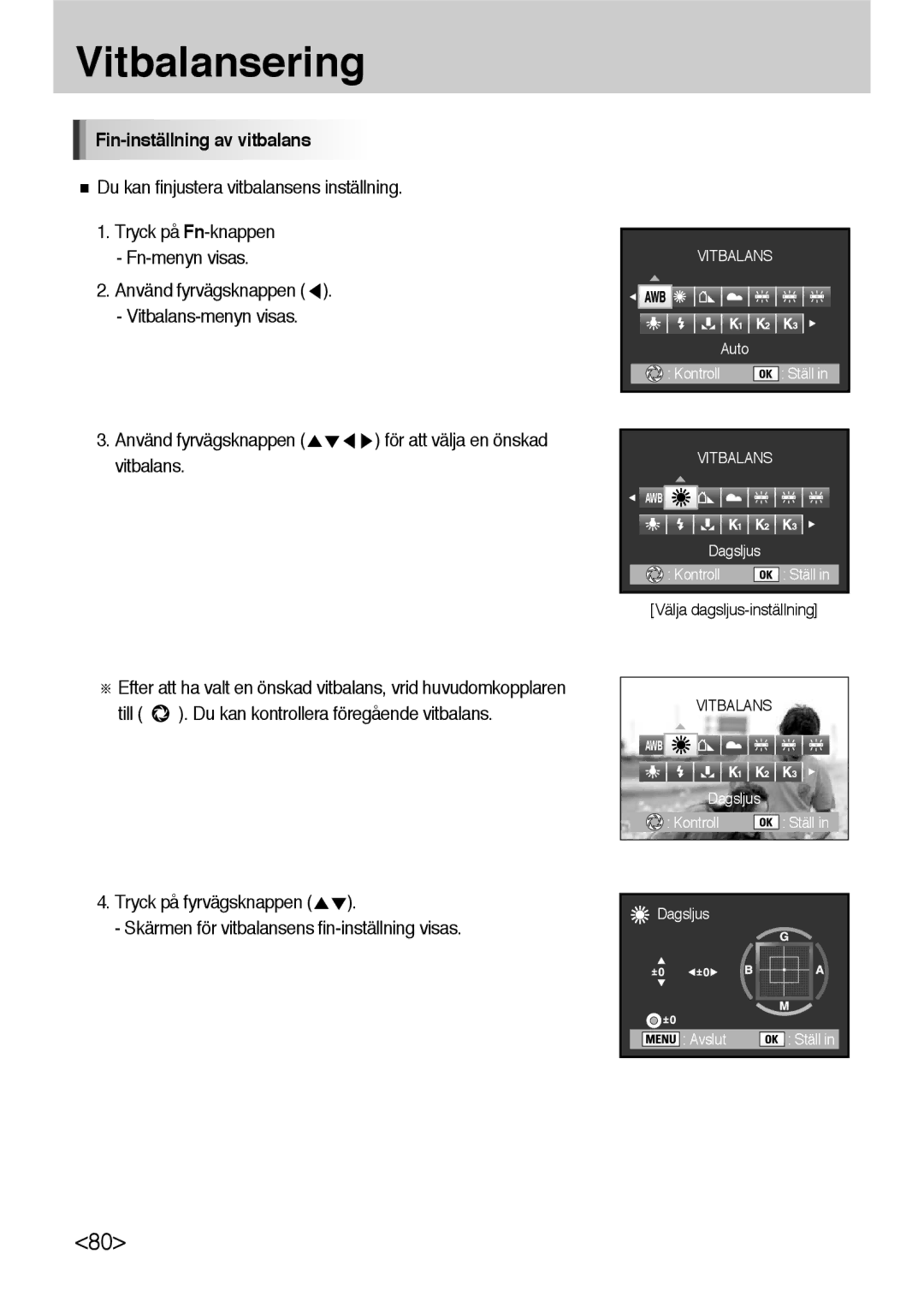 Samsung ER-GX10ZBBH/DE, ER-GX10ZBBB/SE, ER-GX10ZBBA/DK, ER-GX10ZBBB/DE manual Fin-inställning av vitbalans, Dagsljus Kontroll 