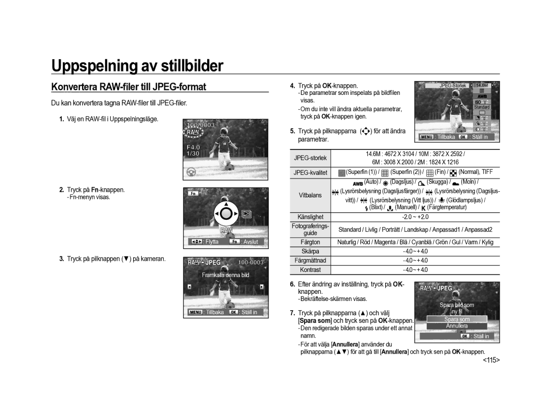 Samsung ER-GX20ZBBB/E1 manual Konvertera RAW-ﬁler till JPEG-format, Du kan konvertera tagna RAW-ﬁler till JPEG-ﬁler, 115 