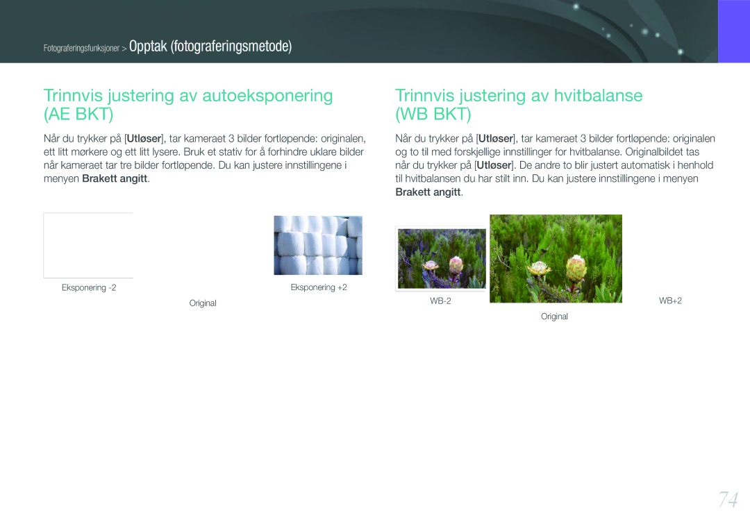 Samsung EV-NX1000BFWSE manual Trinnvis justering av autoeksponering AE BKT, Trinnvis justering av hvitbalanse WB BKT 
