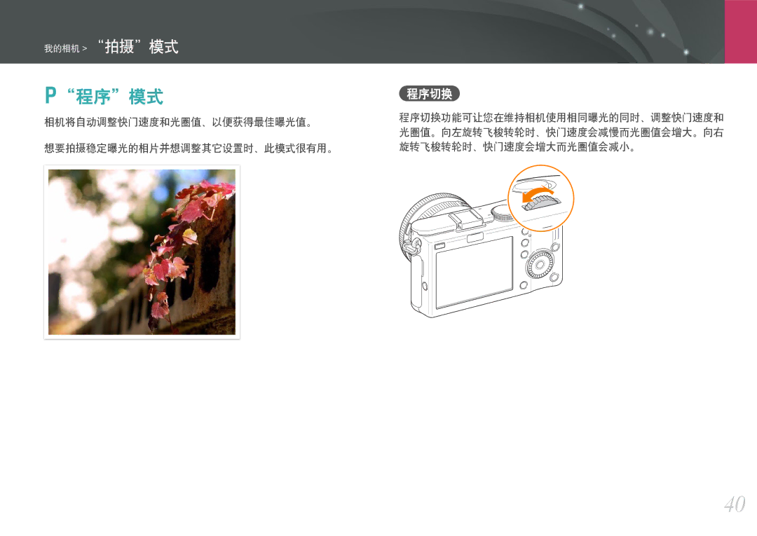 Samsung EV-NX100ZBABIT, EV-NX100ZBABDE, EV-NX100ZBANIT P程序模式, 程序切换, 相机将自动调整快门速度和光圈值、以便获得最佳曝光值。 想要拍摄稳定曝光的相片并想调整其它设置时、此模式很有用。 