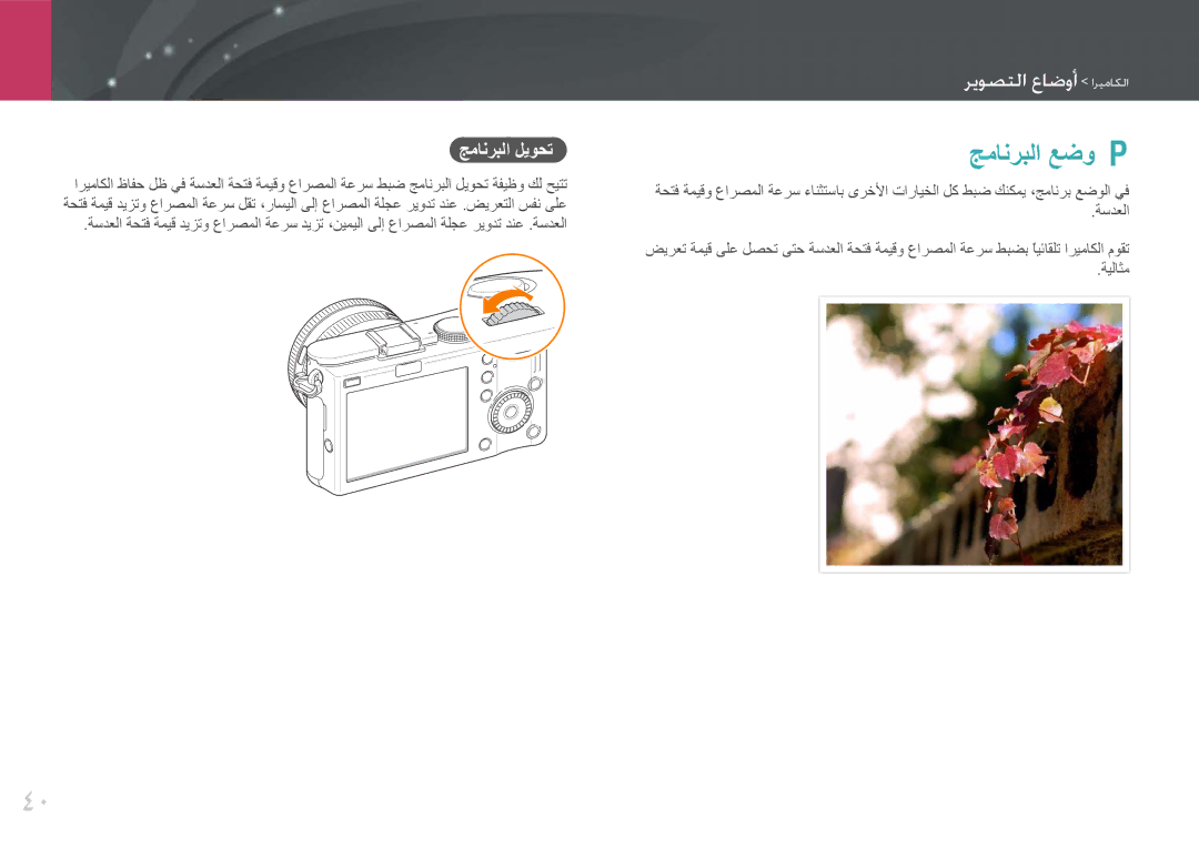 Samsung EV-NX100ZBABIR, EV-NX100ZBABME, EV-NX100ZBABSA manual جمانربلا عضو P, رمسصتما تاوتر اريعايما, ةسدعلا, ةيلاثم 