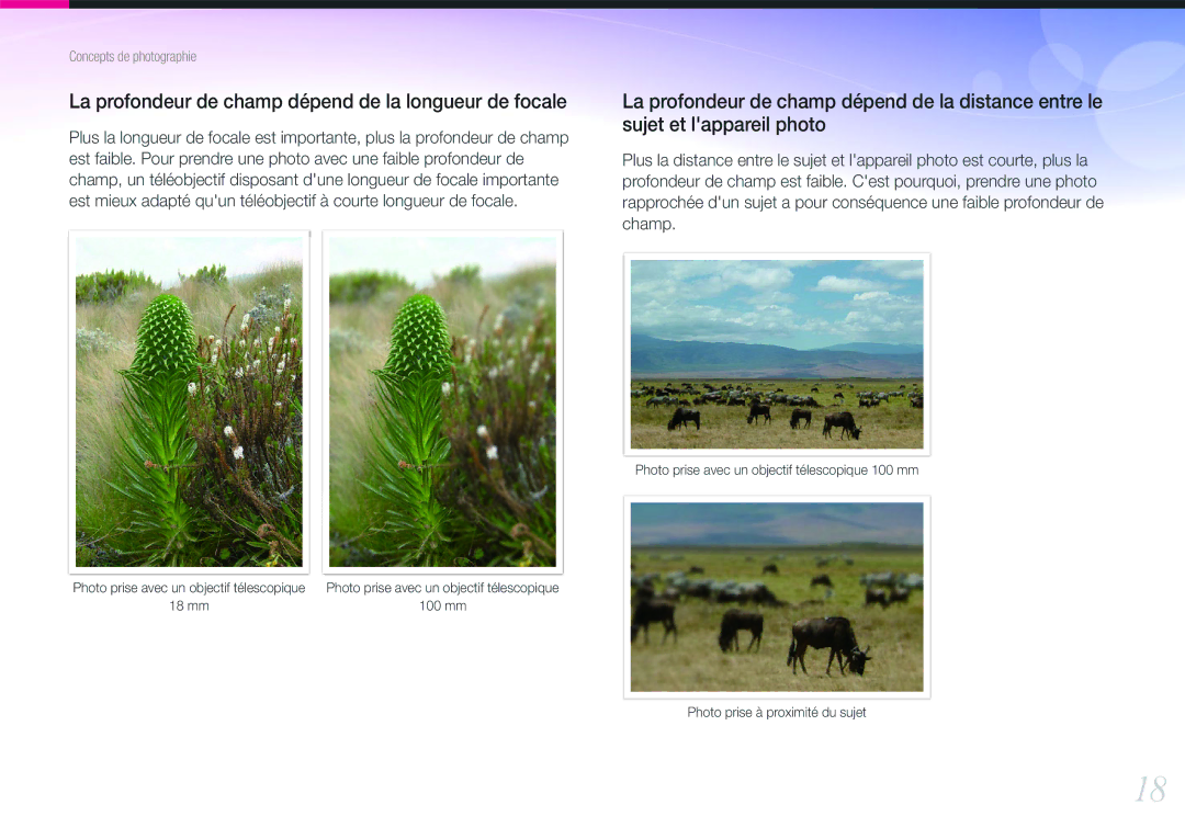 Samsung EV-NX100ZBABFR, EV-NX100ZBASFR, EV-NX100ZBAWFR manual La profondeur de champ dépend de la longueur de focale 