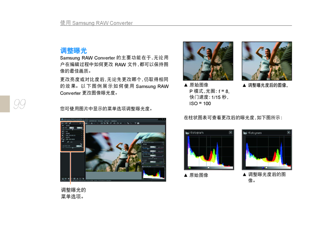 Samsung EV-NX10ZZBABIT, EV-NX10ZZBABDE, EV-NX10ZZBCBHU, EV-NX10ZZBABCZ, EV-NX10ZZBABPL, EV-NX10ZZBABHU Samsung RAW Converter 