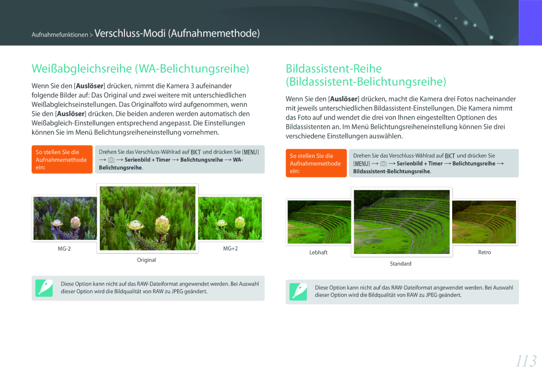 Samsung EV-NX1ZZZBZBDE, EV-NX1ZZZBMBDE, EV-NXF1ZZB2JDE, EV-NXF1ZZB1HDE manual 113, Weißabgleichsreihe WA-Belichtungsreihe 
