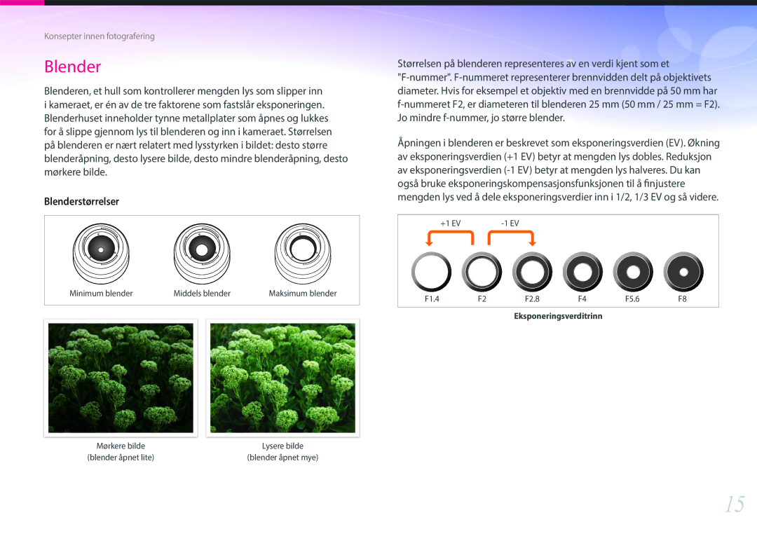 Samsung EV-NX2000BFWSE, EV-NX2000BJPDK, EV-NX2000BABDK, EV-NX2000BABSE, EV-NX2000BFWDK, EV-NX2000BJPSE manual Blender 