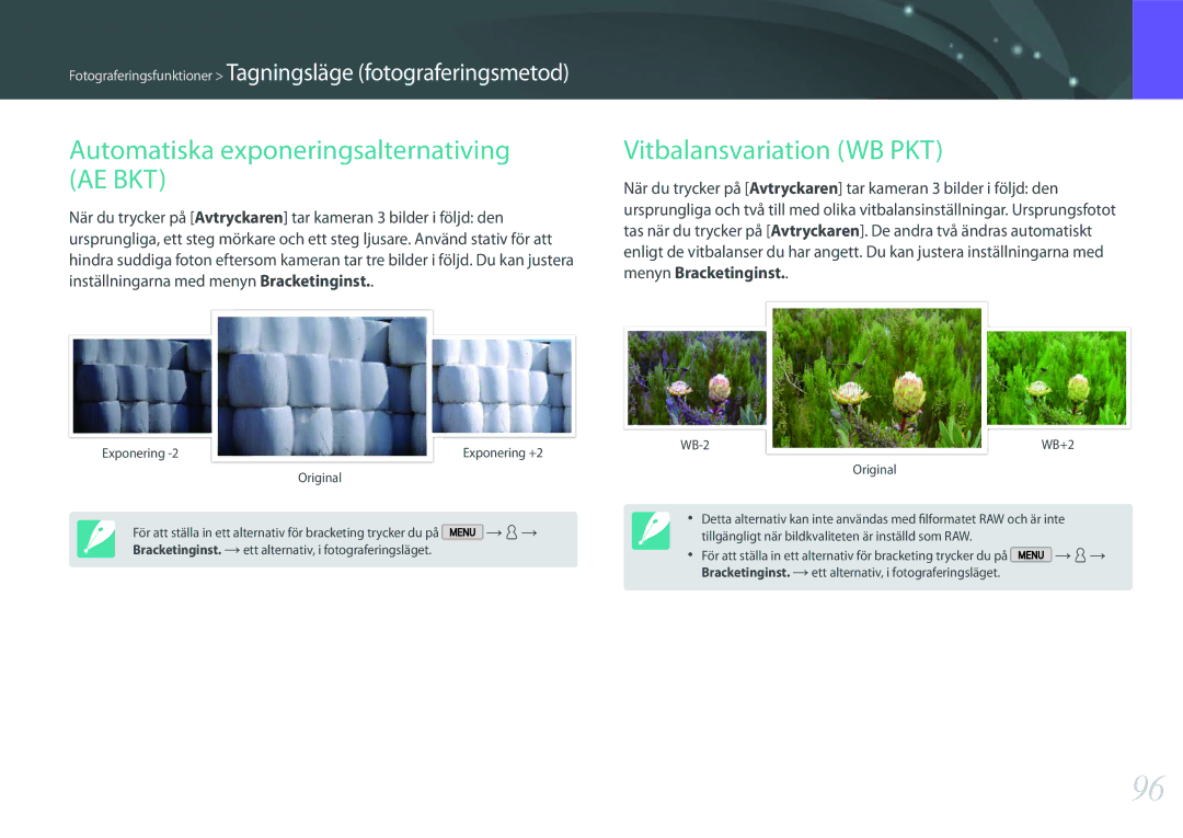 Samsung EV-NX2000BABDK, EV-NX2000BJPDK manual Automatiska exponeringsalternativing AE BKT, Vitbalansvariation WB PKT 