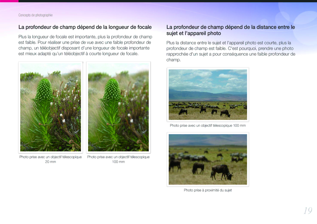 Samsung EV-NX200ZBSBFR, EV-NX200ZBABFR manual La profondeur de champ dépend de la longueur de focale 