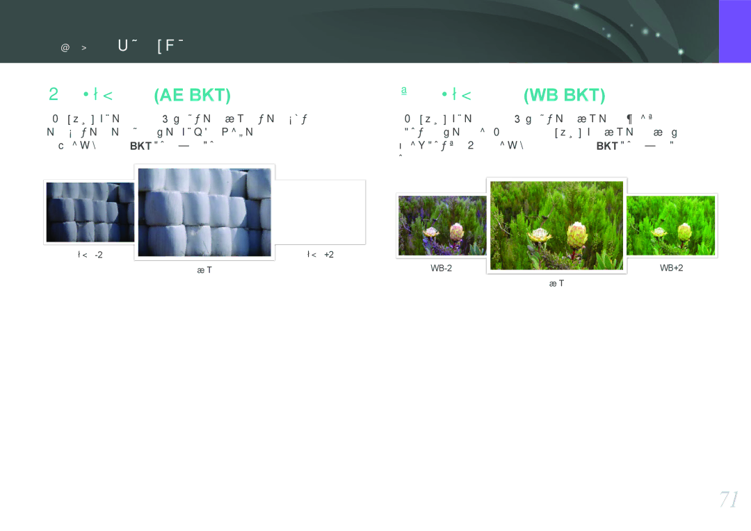 Samsung EV-NX200ZBABCH, EV-NX200ZBSBSE, EV-NX200ZBSBDK, EV-NX200ZBABSE, EV-NX200ZBABHU manual 自动包围曝光 Ae Bkt, 白平衡包围曝光 Wb Bkt 