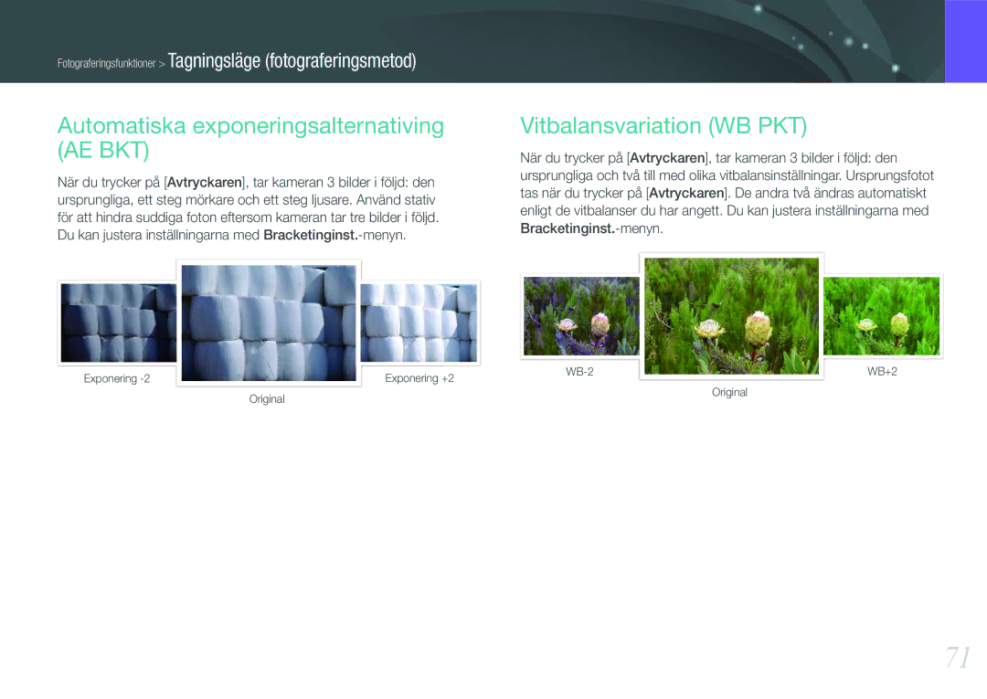 Samsung EV-NX200ZBSBSE, EV-NX200ZBSBDK manual Automatiska exponeringsalternativing AE BKT, Vitbalansvariation WB PKT 