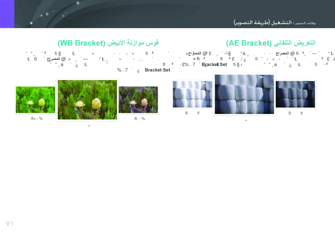 Samsung EV-NX200ZBSTDE, EV-NX200ZDABME, EV-NX200ZAAB, EV-NX200ZAST WB Bracket ضيبلأا ةنزاوم سوق AE Bracket يئاقلتلا ضيرعتلا 