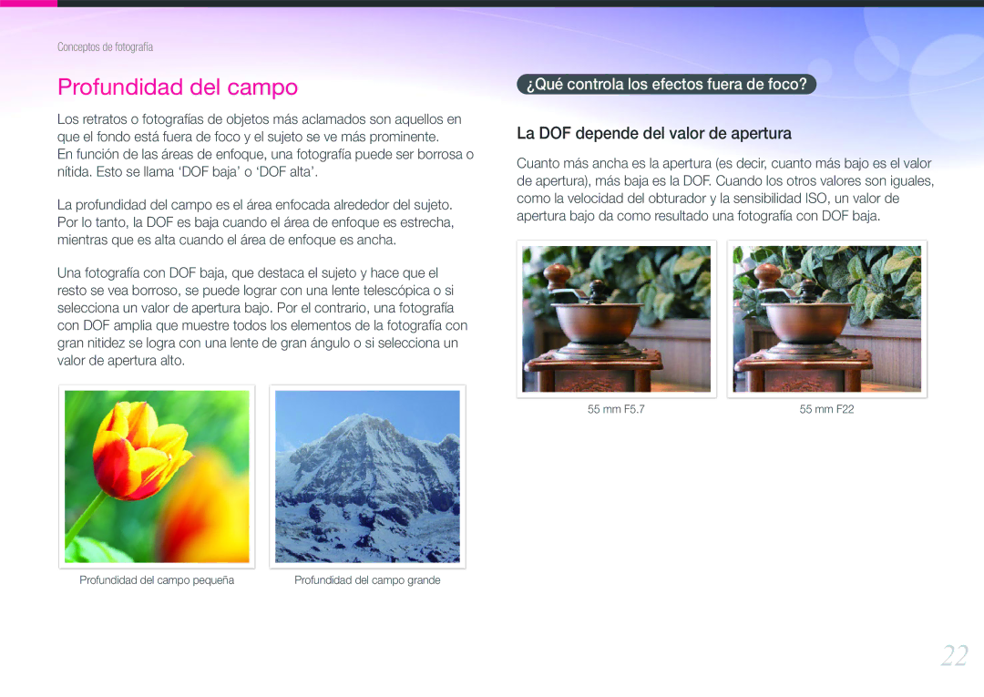 Samsung EV-NX20ZZBSBES, EV-NX20ZZBSBIL manual La DOF depende del valor de apertura, ¿Qué controla los efectos fuera de foco? 