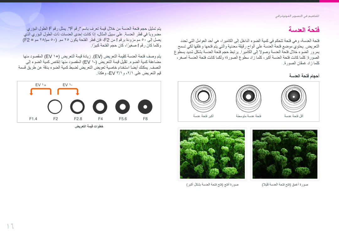 Samsung EV-NX20ZZDSBME, EV-NX20ZZBSBSA manual ةسدعلا ةحتف, ةروصلا ناقمغ داز املك 