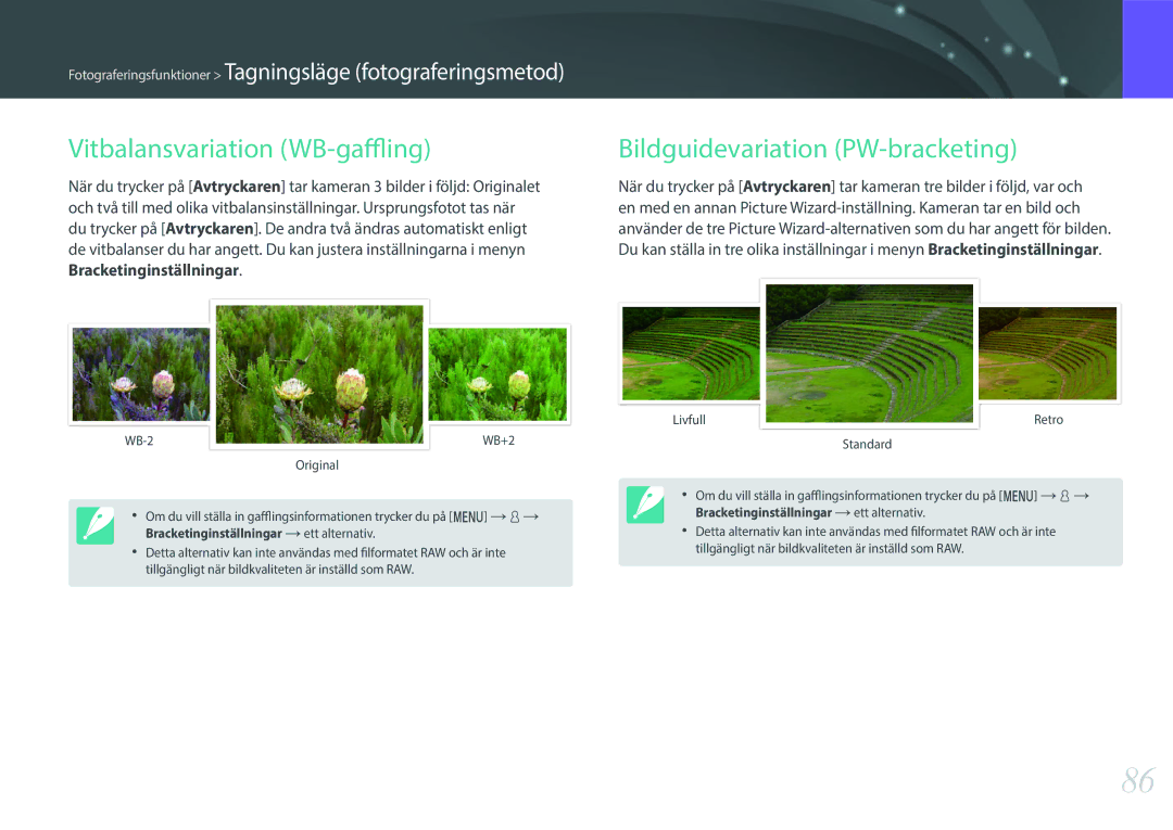 Samsung EV-NX3000BOHDK, EV-NX3000BOHSE, EV-NX3000BOJDK Vitbalansvariation WB-gaffling, Bildguidevariation PW-bracketing 